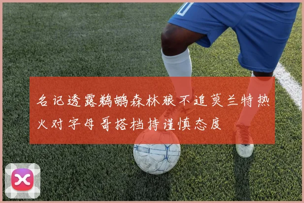 名记透露鹈鹕森林狼不追莫兰特热火对字母哥搭档持谨慎态度